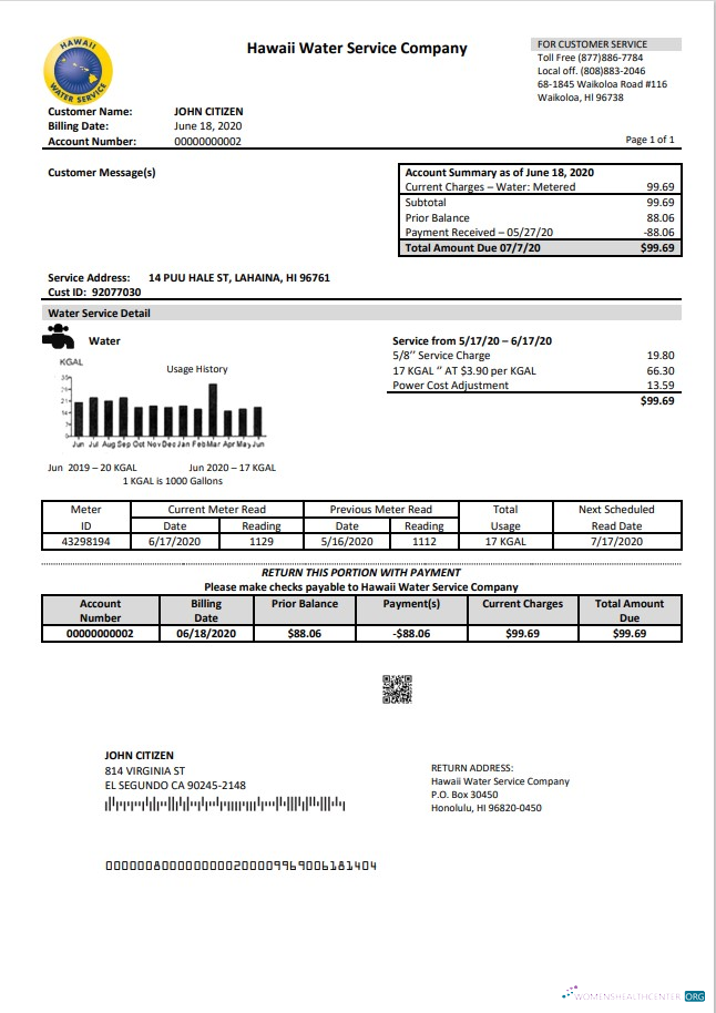 download USA Hawaii Water Service Company utility bill template in Word and PDF (.doc and .pdf) format PDF template